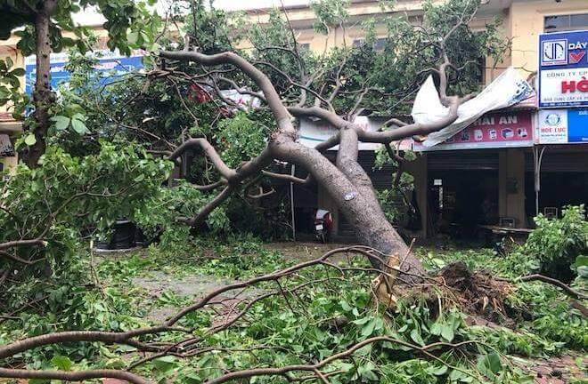 Một phụ nữ bị mái tôn đè chết trong cơn bão số 2