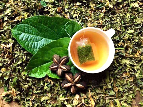 Thương mại hóa sản phẩm trà Sacha Inchi được sản xuất tại Việt Nam