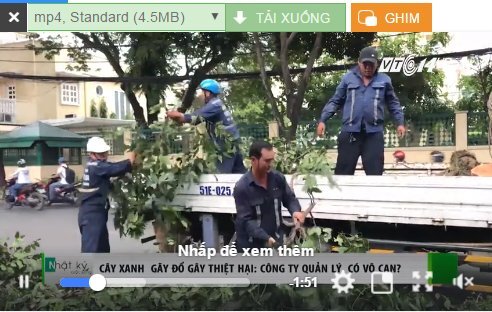 Cây xanh gãy đổ gây thiệt hại: Công ty quản lý có vô can?