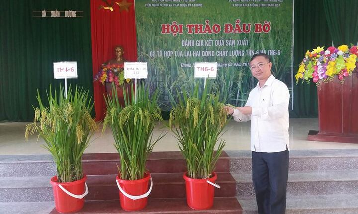 Doanh nghiệp nổi tiếng với bản quyền giống lúa 10 tỷ