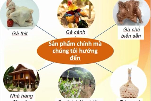 Một Startup nuôi gà của nhóm sinh viên năm 2 được 5 đại gia quan tâm rót vốn