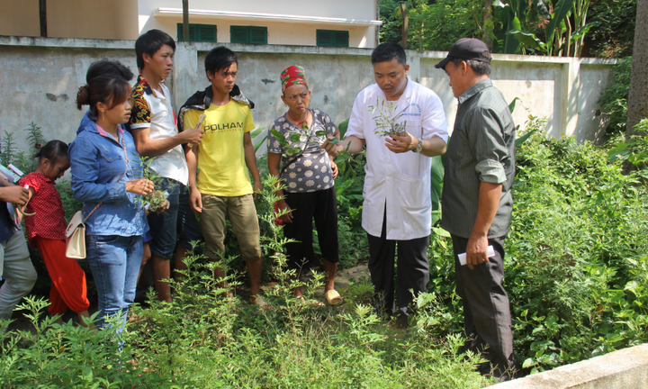 Bài thuốc trị bệnh về khớp 'Phong Thấp Hoàn'