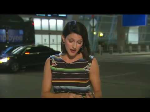 MC bình tĩnh đưa tin trực tiếp dù bị nhện bò lên người