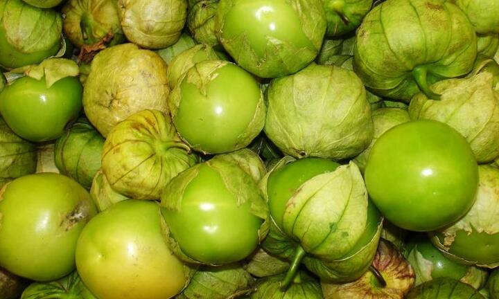 Choáng: Quả tầm bóp mọc dại ở Việt Nam, bán 700.000 đồng/kg ở Nhật