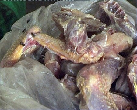 Video: Hàng tấn chân trâu, cánh gà thối chuẩn bị lên bàn nhậu