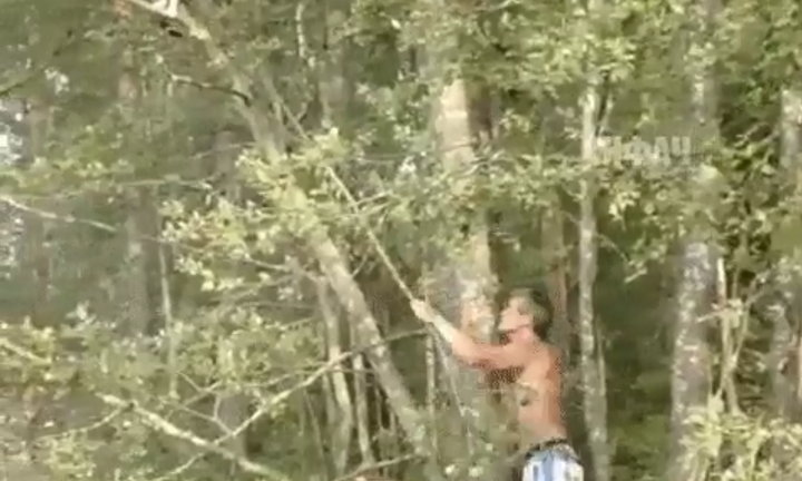 Video: Cứu viện sai cách, cả chủ lẫn mèo 'gặp nạn'