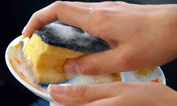 Nghiên cứu sốc: Miếng rửa bát có thể chứa nhiều vi khuẩn gây bệnh như... phân
