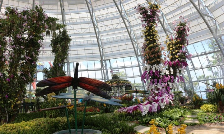 Vinpearl Land mở cửa Đồi Vạn Hoa - công viên thực vật 5 châu độc đáo nhất Việt Nam