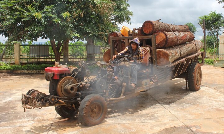 Bắt 2 xe công nông chở gỗ xoan đào trái phép đang trên đường tiêu thụ