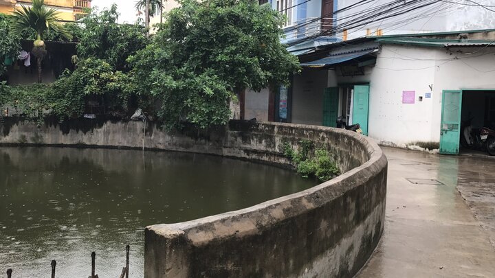 Hà Nội: Muỗi tấn công cả thôn, người người sốt xuất huyết