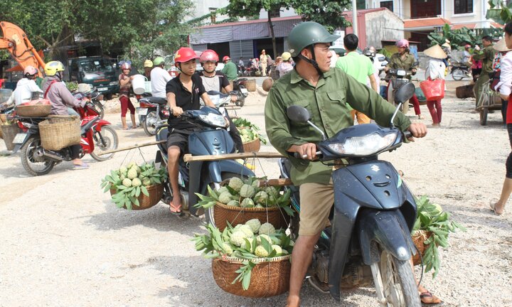 Ảnh: Cận cảnh chợ na lớn nhất miền Bắc vào vụ