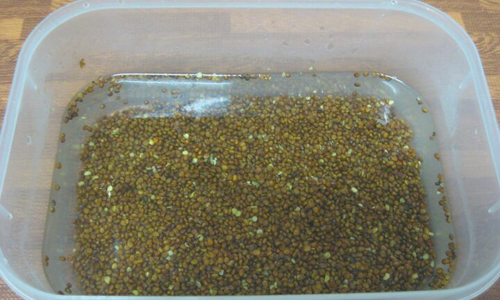 Kinh hoàng hạt giống trồng rau mầm tẩm hóa chất độc hại, hàng ngàn người đã mua