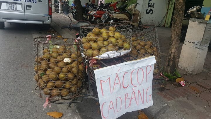 Mắc cọp giá rẻ Trung Quốc gắn mác Cao Bằng tràn ngập gánh hàng rong ở Hà Nội