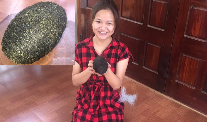 Tưởng lợn ăn phải quả mít, chủ nhà vứt 'cát lợn' quý hiếm ra sân