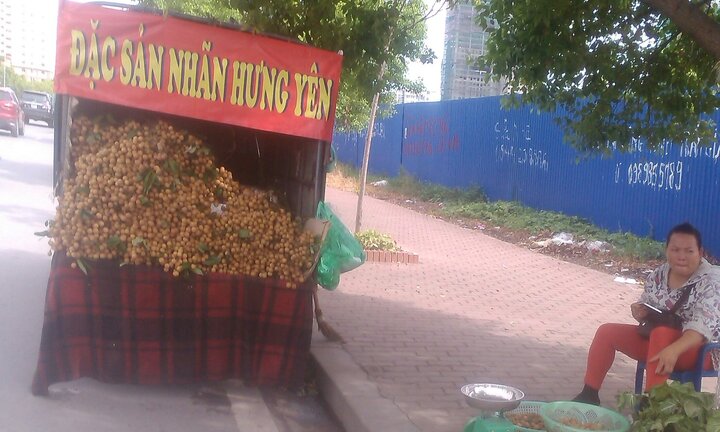 Bóc mẽ nhãn lồng Hưng Yên 'giả' hoành hành khắp Hà Nội