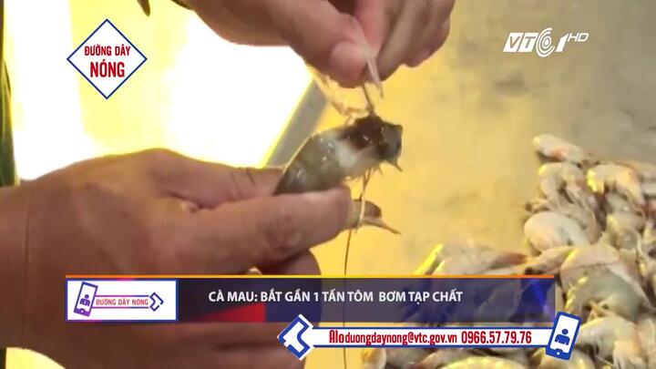 Bắt gần 1 tấn tôm bơm tạp chất trên đường tiêu thụ
