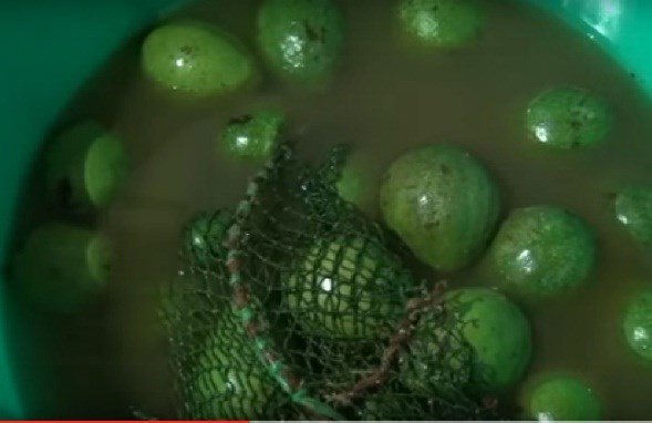 Video: Trái cây tươi bán lề đường ướp hóa chất, chủ không dám ăn