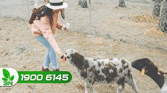 Mục sở thị trại thú độc nhất vô nhị ở Việt Nam