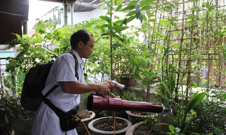 Vì sao Hà Nội phun thuốc diệt muỗi liên tục, sốt xuất huyết vẫn không hạ nhiệt?