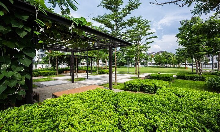 Iris Homes: Dinh thự xanh giữa lòng Hà Nội