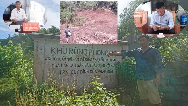 Doanh nghiệp tư nhân tàn phá rừng đầu nguồn trồng cam: Cán bộ đổ cho dân, huyện nói không biết