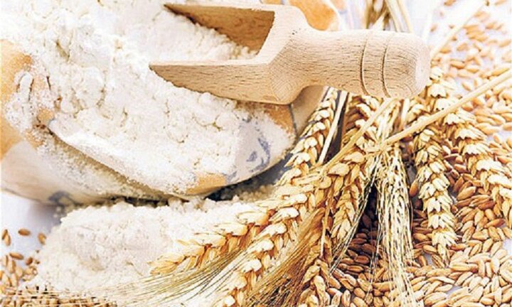 Trưởng phòng kinh doanh gian lận hàng nghìn tấn bột mì chiếm đoạt gần 10 tỷ đồng