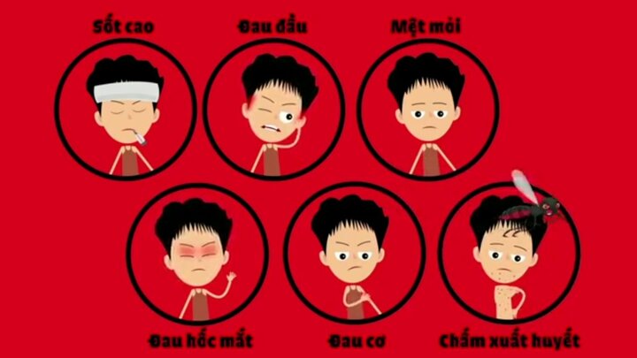 Video: Xuất hiện phim hoạt hình ấn tượng về sốt xuất huyết