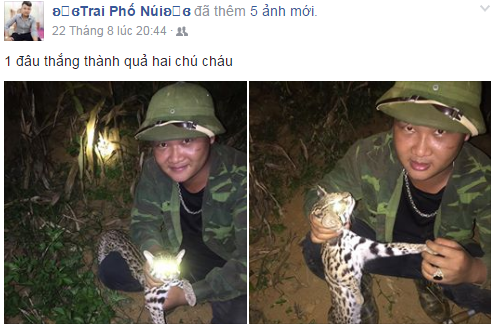 Truy tìm nam thanh niên giết hại mèo rừng rồi khoe 'chiến tích' trên facebook