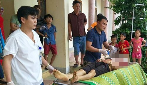 Tiêm phòng cho trâu, một người bị húc tử vong