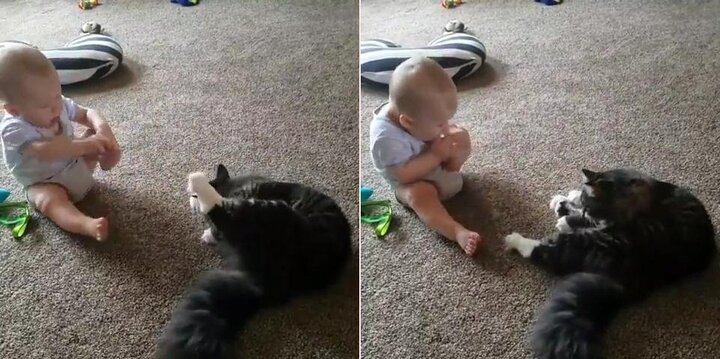 Phì cười clip em bé bắt chước mèo liếm chân