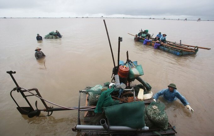 Tròn mắt xem nông dân Thái Bình dùng máy hút, 2 giờ thu được gần 20 tấn ngao
