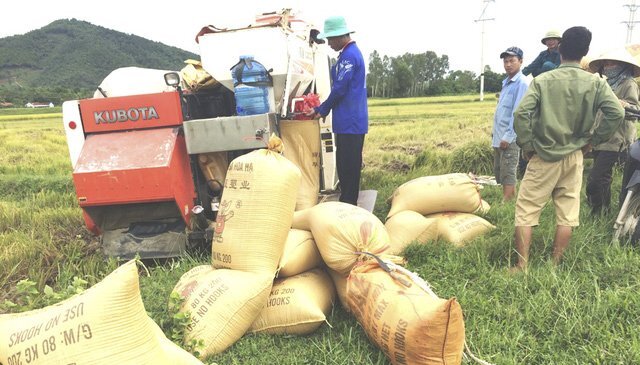 Xã hội đen hoành hành ép chủ máy gặt đóng tiền 'bảo kê' ở Nghệ An
