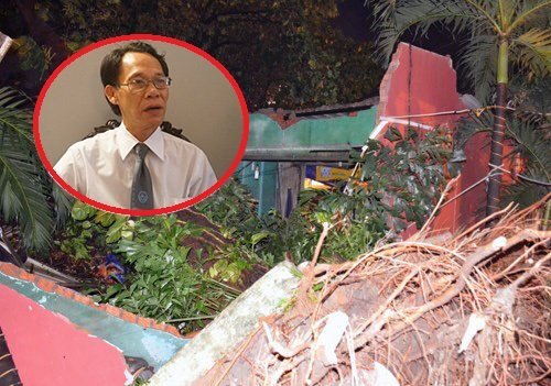 Cây cổ thụ đè sập 4 nhà dân: Công ty Công viên cây xanh TP.HCM bồi thường thế nào?