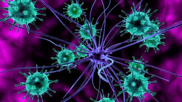 Virus Zika được sử dụng để tiêu diệt tế bào ung thư não