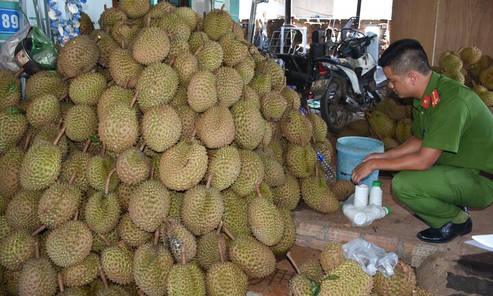 Công an mật phục bắt cơ sở ngâm sầu riêng bằng hóa chất