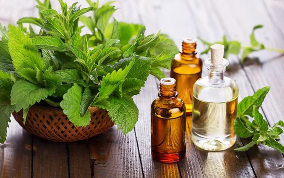 Mẹo hay khiến lũ côn trùng bẩn thỉu sẽ biến mất khỏi nhà bạn trong nháy mắt