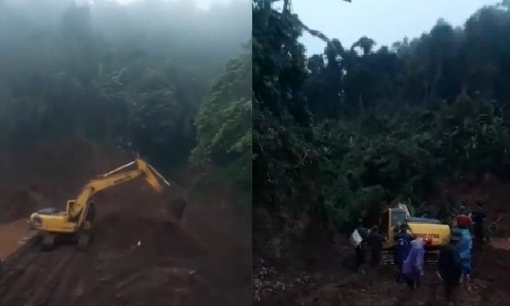 Dân tố doanh nghiệp phá rừng trồng cam: UBND tỉnh Hòa Bình lờ đi công ty 'vua' phá rừng?