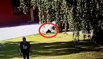 Người thợ lúi húi sửa cống, bị nữ tài xế lao ô tô cán qua