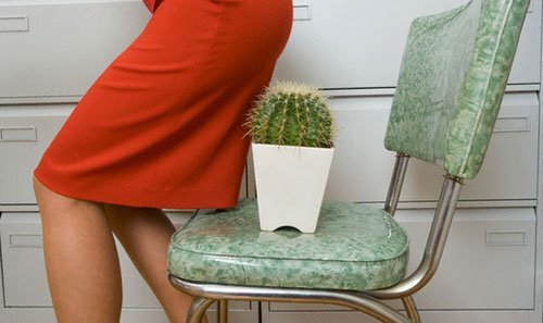 Bệnh trĩ: Bệnh của giới văn phòng