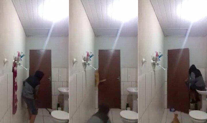 Thanh niên 'song kiếm hợp bích' với mèo cưng bắt chuột và cái kết hài té ghế