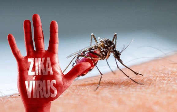 Phát hiện một ca nhiễm Virus Zika ở Vĩnh Long