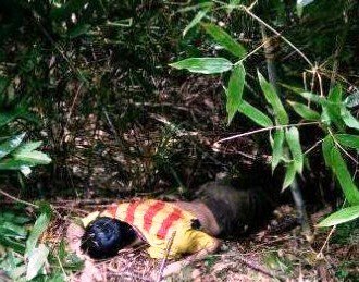 Nghi vấn nam thanh niên ăn lá ngón tự tử sau khi bỏ nhà đi