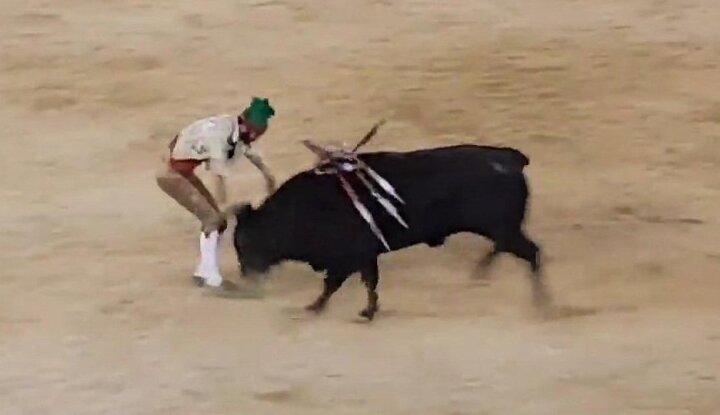 Đấu sỹ bị bò tót nặng hơn nửa tấn húc chết giữa màn biểu diễn