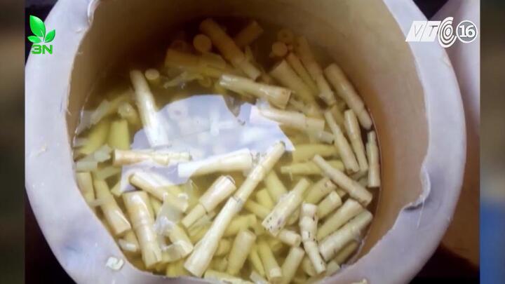 Liên tục phát hiện măng tươi ngâm chất tẩy trắng, tạo màu độc hại
