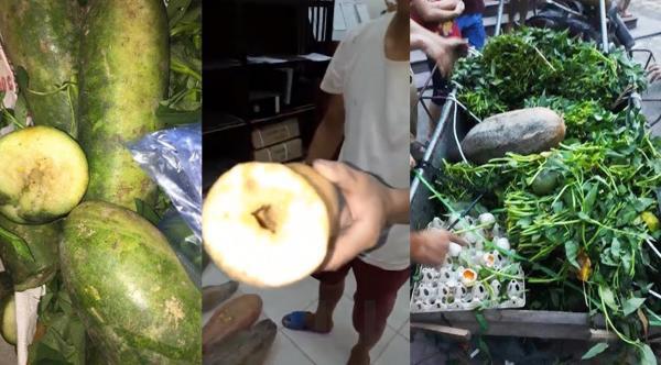 Ngộ độc thực phẩm: Hàng loạt đứa trẻ vô tội trở thành nạn nhân