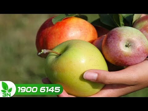 Tuyệt chiêu nhận biết táo Trung Quốc