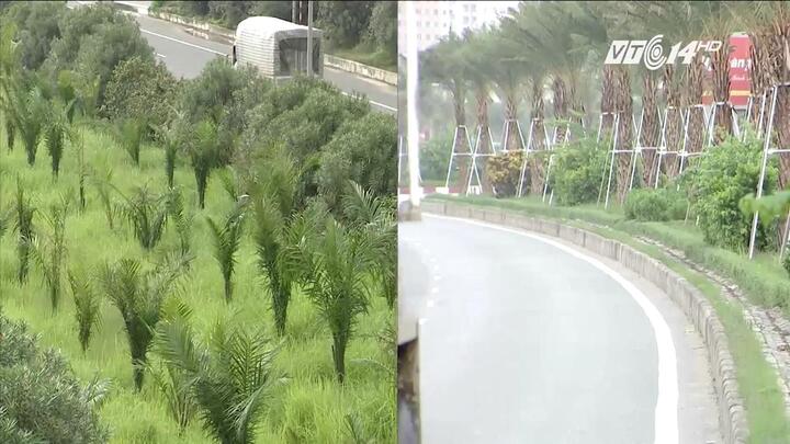 Đại lộ hiện đại nhất Việt Nam lột xác sau khi khai hoang