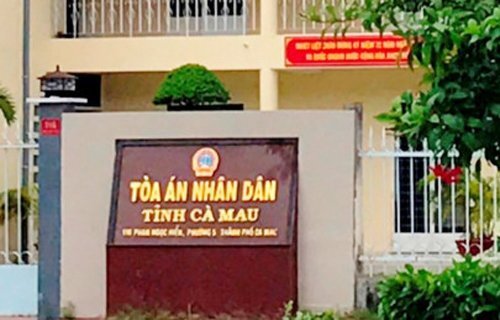Đánh phụ nữ, Chánh tòa Hình sự TAND tỉnh Cà Mau bị cảnh cáo
