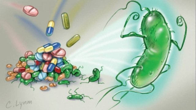 ‘Hết kháng sinh, con đường của bệnh nhân nhiễm khuẩn là đến… nghĩa trang’