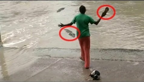 Nữ 'cao thủ' cầm dép tông đuổi cá sấu bơi trối chết